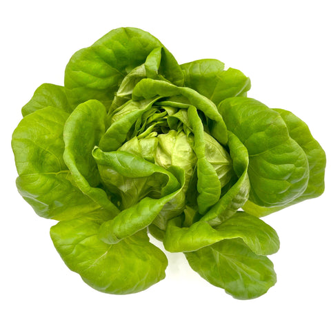 10 Ways to Enjoy Aquaponic Green Butter Lettuce