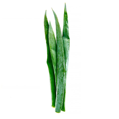 10 Ways to Enjoy Jumbo Green Onions