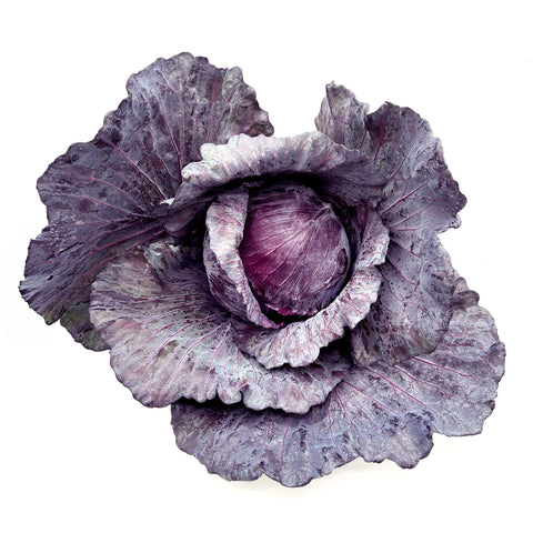10 Ways to Enjoy Red Cabbage