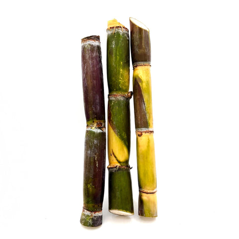 Locally grown sugarcane harvested from 4Roots Farm Campus, fresh and ready to enjoy in various dishes and drinks.