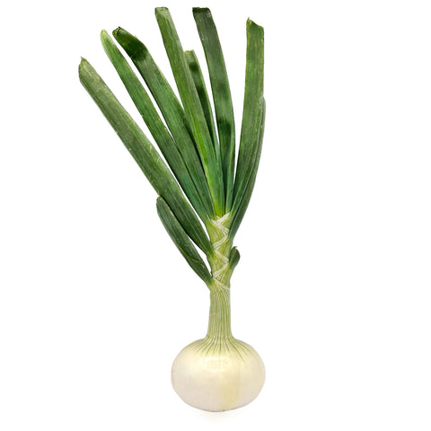 10 Tasty Ways to Cook Sweet Onions