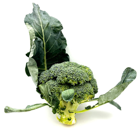 Freshly harvested, locally grown broccoli from the 4Roots Farm Campus, displayed in a wooden crate with vibrant green florets and crisp stalks.
