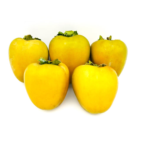 Image of 5 bright yellow-green Hiyaica persimmons showcasing a 1-pound display, fresh and organic from Florida