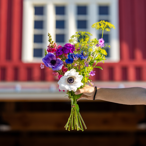 Handcrafted seasonal bouquet from Flowers by 4Roots featuring fresh, locally grown blooms arranged for a natural, farm-to-table floral display