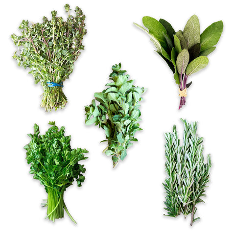 Bundle of vibrant, fresh herbs grown locally in the 4Roots greenhouse, featuring rosemary, parsley, sage, thyme, and oregano. Ideal for enhancing holiday dishes or weeknight meals with earthy, zesty, and comforting flavors.
