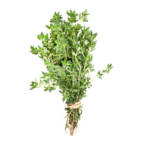 Fresh hydroponic thyme grown with organic practices at 4Roots Farm Campus in Orlando, Florida.