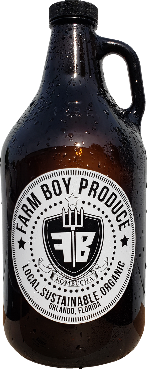 Pineapple Ginger Kombucha - Fresh by 4Roots
