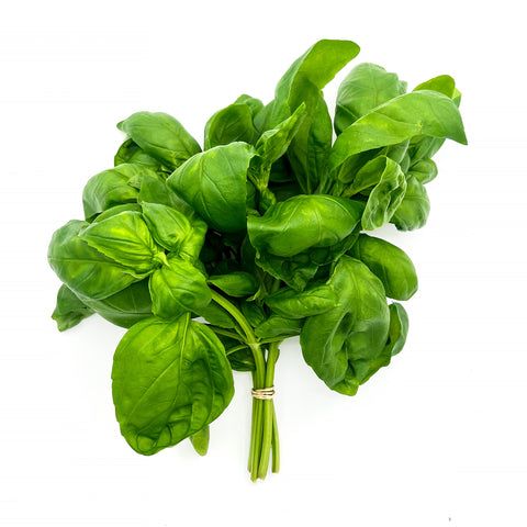 Fresh locally grown Italian basil from 4Roots Farm Campus greenhouse with vibrant green leaves ready for cooking