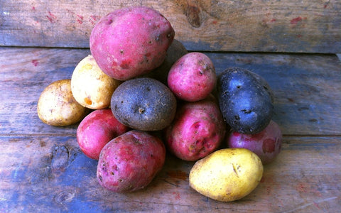 Tri-Color Potatoes