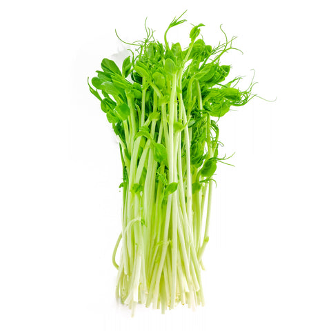 Pea Microgreens