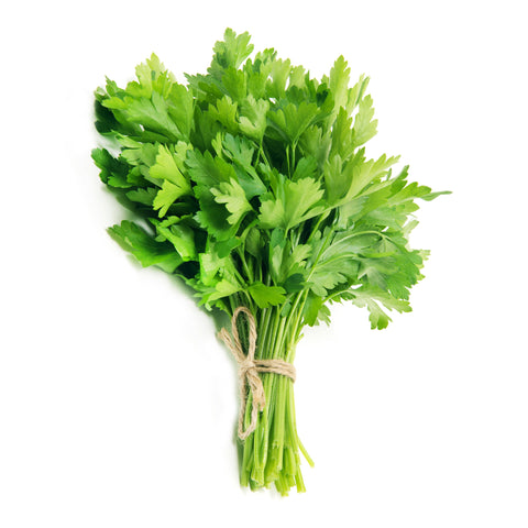 Fresh hydroponic parsley grown with organic practices at 4Roots Farm Campus in Orlando, Florida.