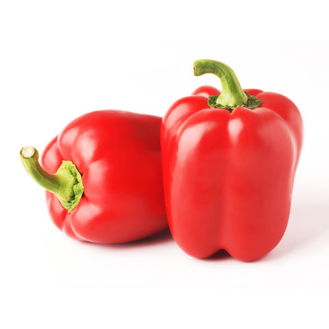 Locally grown red bell peppers from 4Roots Farm Campus in Orlando, FL – fresh, crisp, and perfect for cooking or snacking.