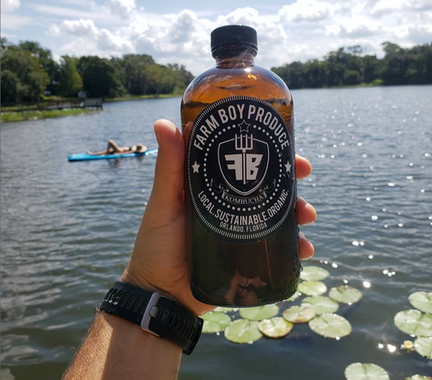 Pineapple Ginger Kombucha - Fresh by 4Roots