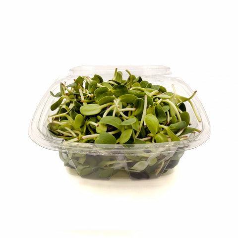 Local Black Oil Sunflower Microgreens