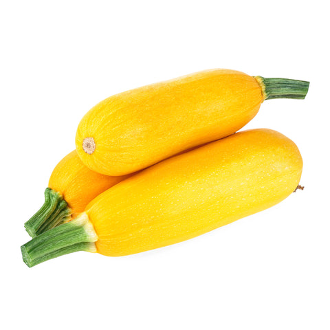 Fresh USDA Organic Yellow Squash from Florida – vibrant, locally grown produce