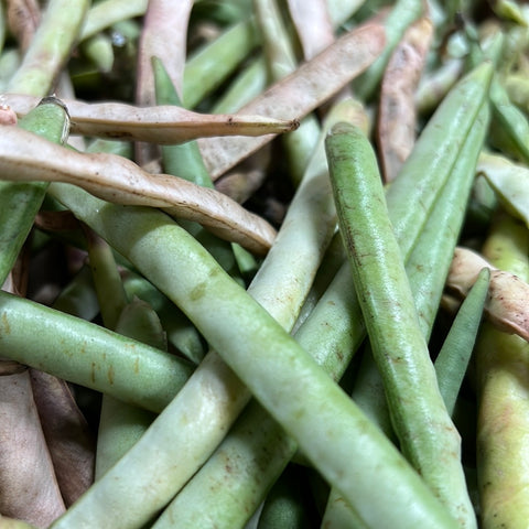 Black Eyed Peas - 1 lb