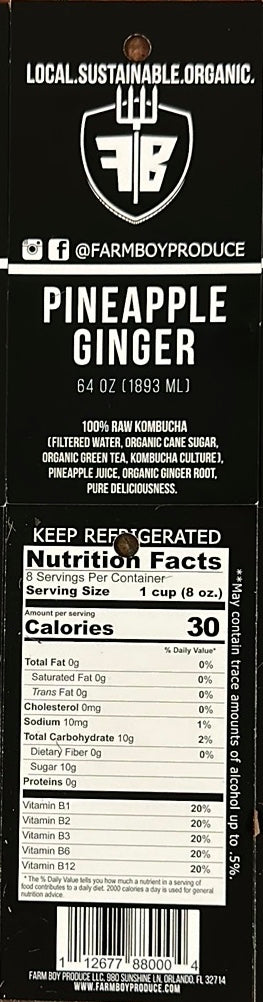 Pineapple Ginger Kombucha - Fresh by 4Roots