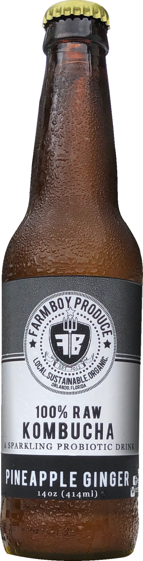 Pineapple Ginger Kombucha - Fresh by 4Roots