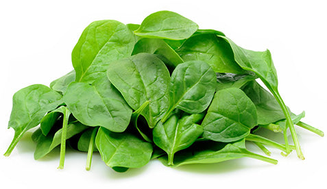 Baby Spinach - 5 oz. Clamshell