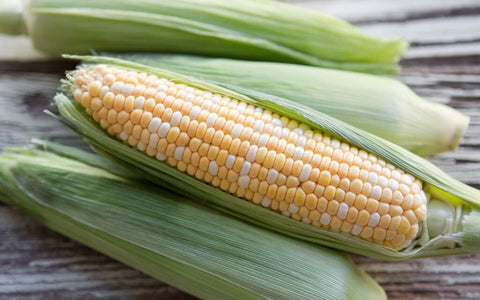 Local Corn