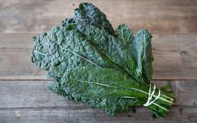 Dino Tuscan Kale - LOCAL