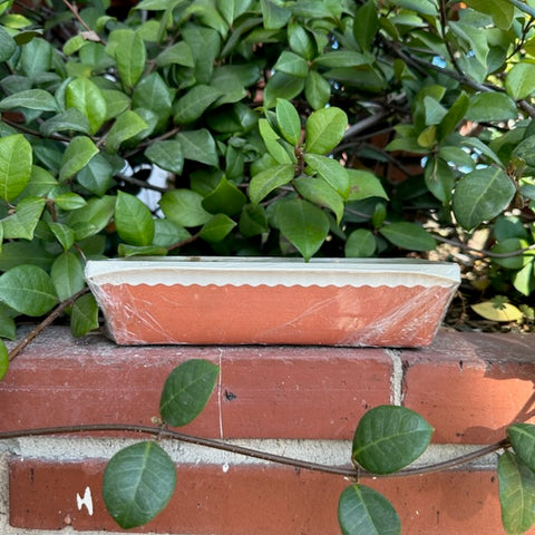 Side view of banana bread package with orange and white trim, wrapped in plastic, displayed atop a brick wall with foliage in the background. The image emphasizes the vibrant packaging design and the product’s freshness, showcasing its appealing presentation and the 4Roots branding.