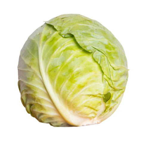 Fresh organic green cabbage head, vibrant and crisp, perfect for salads, slaws, and healthy dishes.