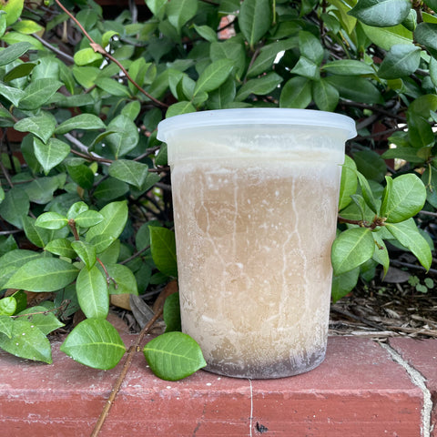 Beef Bone Broth - Fresh by 4Roots
