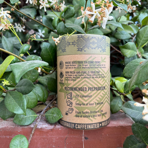 American Green Yaupon Holly Tea