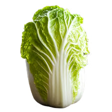 Napa Cabbage - Fresh by 4Roots