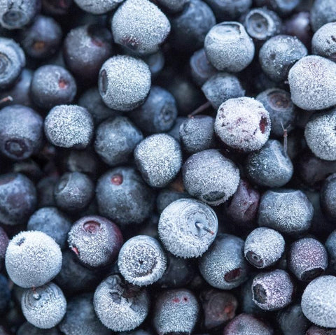 Frozen Blueberries - Fresh by 4Roots