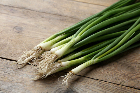 Green Onions - 1 Bunch