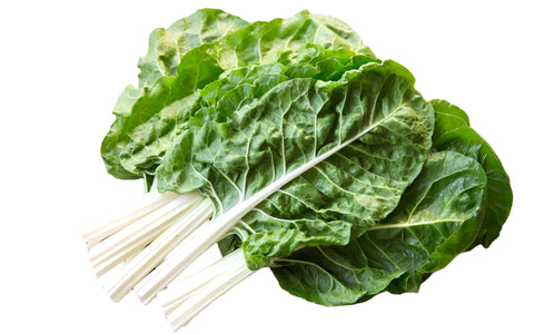 Hydroponic Rainbow Swiss Chard - Fresh by 4Roots