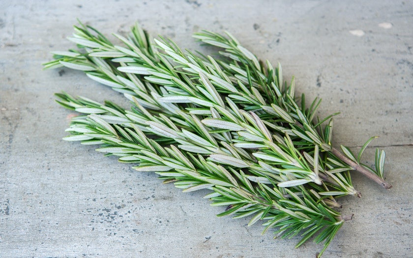 Fresh Rosemary Near Me Find Reliable Local Suppliers Fresh Rosemary Near Me Find Reliable Local Suppliers