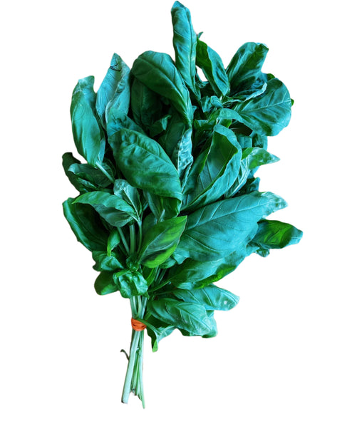 A fresh bunch of Persian Basil leaves, bound together with an orange tie, placed on a wooden surface.