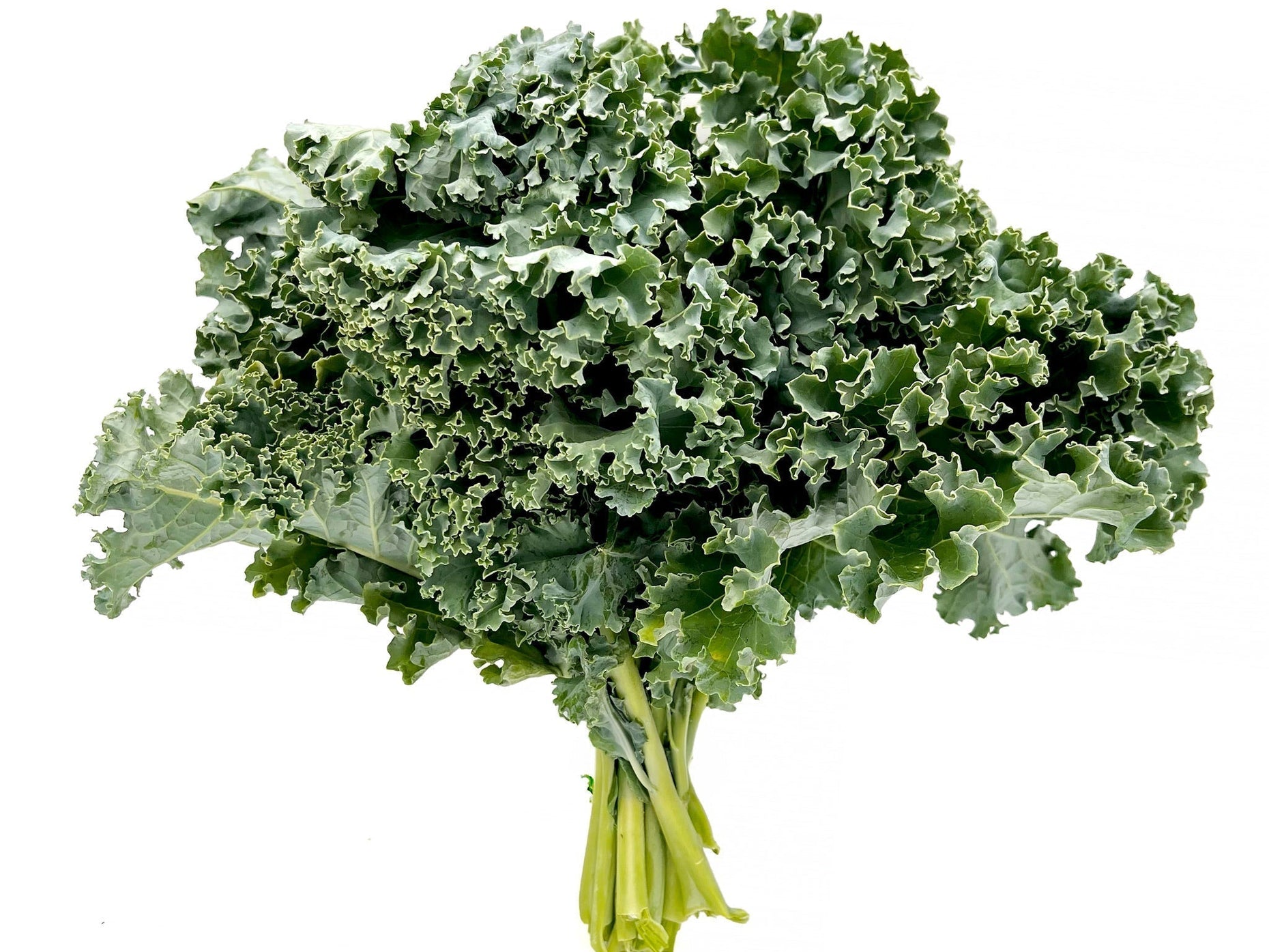 10 Easy & Delicious Ways to Use Curly Kale | 4Roots Farm – Fresh by 4Roots