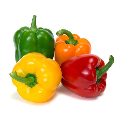 A vibrant mix of freshly harvested bell peppers—red, yellow, orange, and green—grown at 4Roots Farm Campus and displayed in a rustic crate.