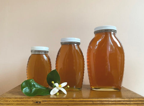 Local Organic Single Origin Pure Honey - 8 oz