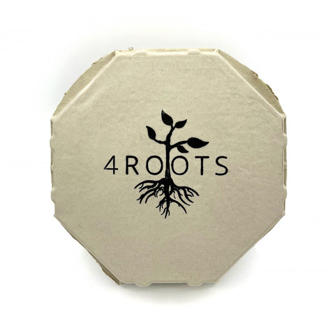 4Roots pasture-raised hens grazing on fresh pasture at the 4Roots Farm Campus in Orlando, Florida