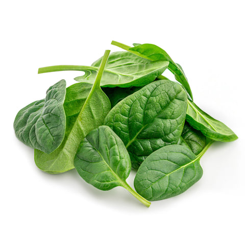 Fresh Local Baby Spinach sustainably grown at 4Roots Farm Campus in Orlando, FL using organic practices, packaged in a 5 oz plastic clamshell.