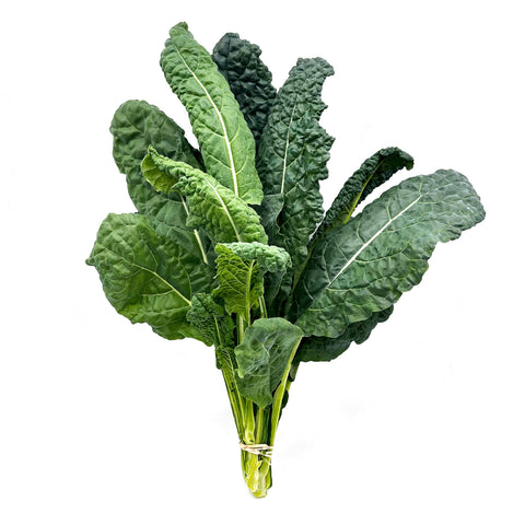 Fresh, organic Dino Tuscan Kale grown locally in Florida, known for its rich, earthy flavor and tender leaves. Perfect for salads, sautés, and smoothies. Sustainably farmed and packed with nutrients like vitamins A, C, and K. Support local Florida agriculture with this vibrant superfood.