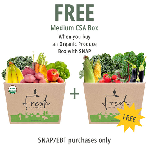 SNAP EBT Exclusive Offer: Small Organic Produce Box + FREE Medium CSA Box