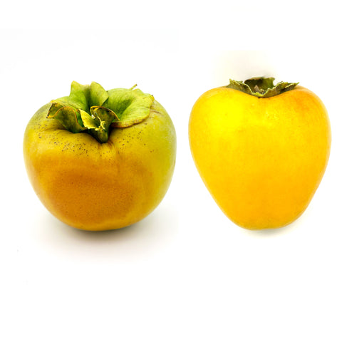 Close-up of a mixed pair of Fuyu and Hiyaica persimmons, displaying their bright yellow-green color. Sold as a 1-pound mix, locally grown in Florida with organic practices, fresh from Treadwell Farms