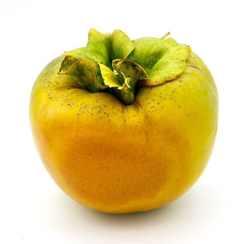 Close-up of a bright yellow-green Fuyu persimmon, showcasing its firm texture and honey-sweet flavor. Locally grown in Florida using organic practices, fresh from Treadwell Farms