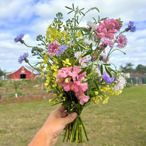 Seasonal Flower Bouquet