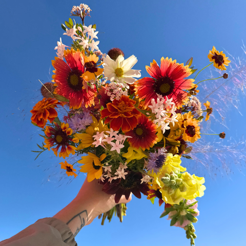 Fresh seasonal flower bouquet with mixed blooms from Central Florida farms wrapped and ready for display