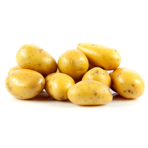 Organic gold potatoes with golden skin and yellow flesh freshly harvested from the 4Roots Farm Campus