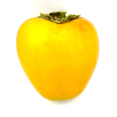 Close-up of a bright yellow-green Hiyaica persimmon, grown with organic practices at Treadwell Farms and sold by Fresh by 4Roots