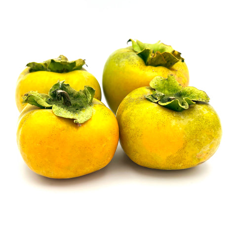 Image of 4 bright yellow-green Fuyu persimmons, displaying 1 pound. Known for their firm texture and honey-sweet flavor, organically grown and fresh from Florida