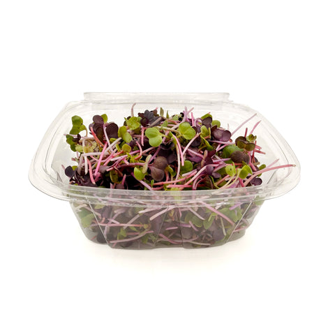 Local Mild Mix Microgreens